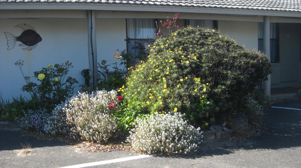 Robe Haven Motel מראה חיצוני תמונה
